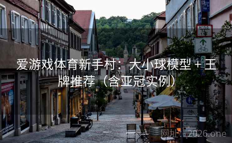 爱游戏体育新手村：大小球模型 + 王牌推荐（含亚冠实例）