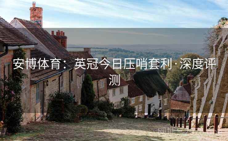 安博体育：英冠今日压哨套利·深度评测