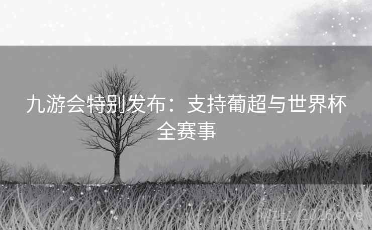 九游会特别发布:支持葡超与世界杯全赛事 九游会特别发布:支持葡超与世界杯全赛事