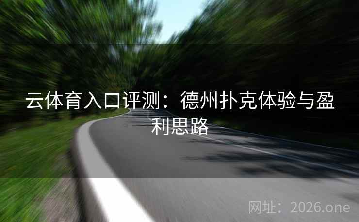 云体育入口评测：德州扑克体验与盈利思路