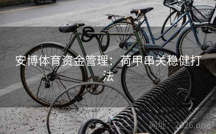 安博体育资金管理：荷甲串关稳健打法